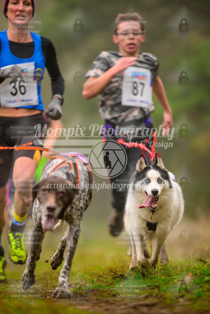 MompixPhotography_Bischwiller2025_Canicross-144 | mompixphotography