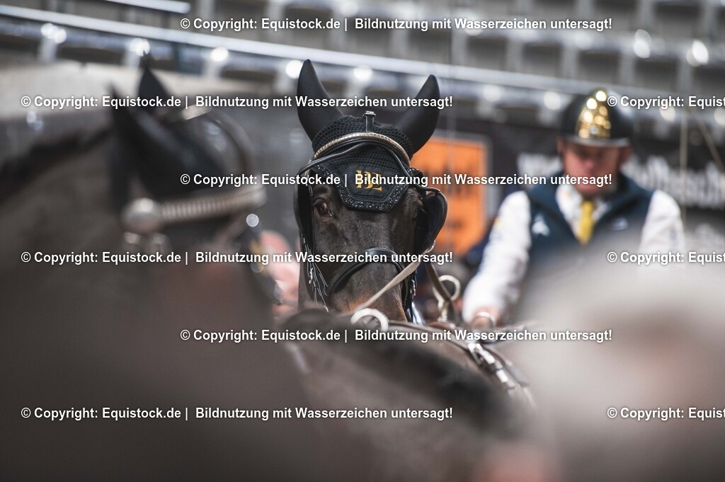 20251114_Impressionen_TOMSPIC_0026 | Foto: Thomas Hartig