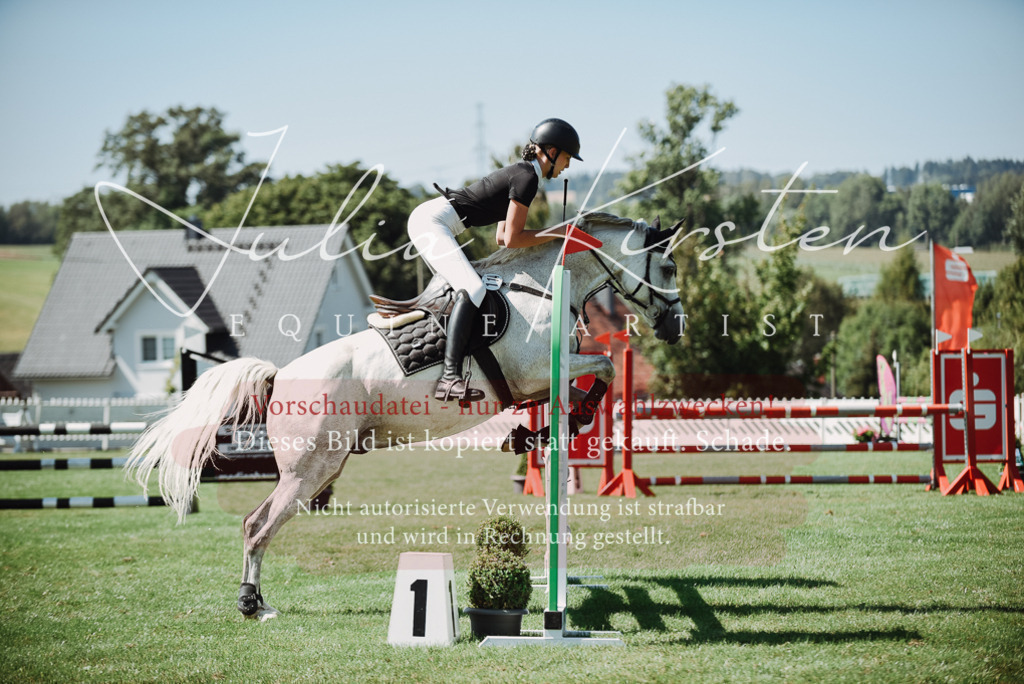 DSC_3301 | Pferde- und Turnierfotografie in Westsachsen. Pferdeportraits, Auftragszeichnungen und intuitive Kunst.