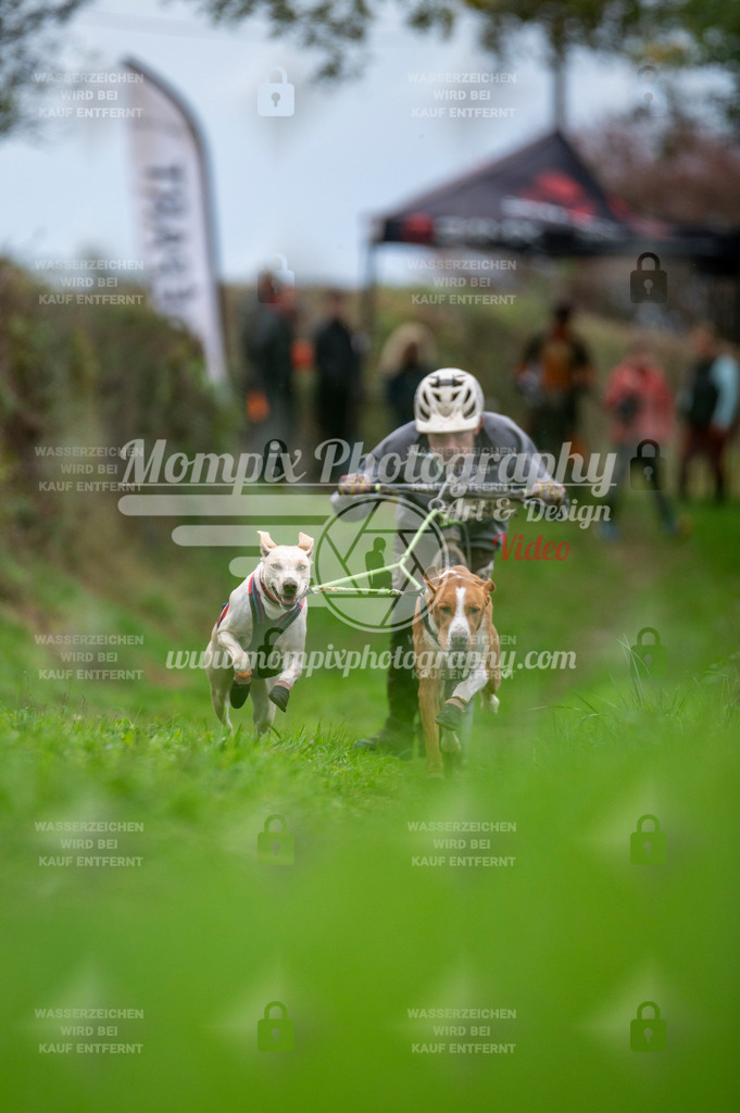 TSB_2023_E8_DS2-7 | PayLife