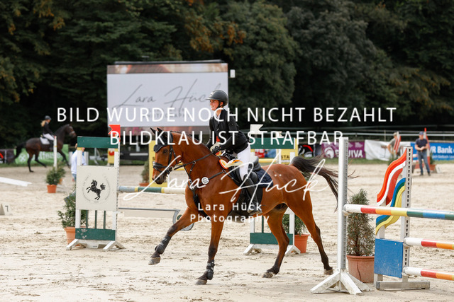 _62_9217 | larahueckfotografie