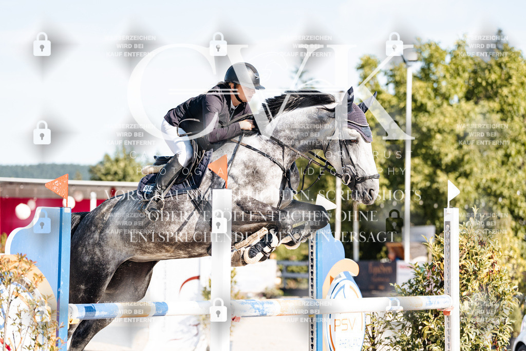 CK904663 | Turnierfotografie Pferdefotografie Trier Rheinland-Pfalz Pferdesport Reitsport Tierfotografie Sportfotografie Pferdevideo Pferdevideografie Equestrianvideography equestrianphotography  - Realisiert mit Pictrs.com