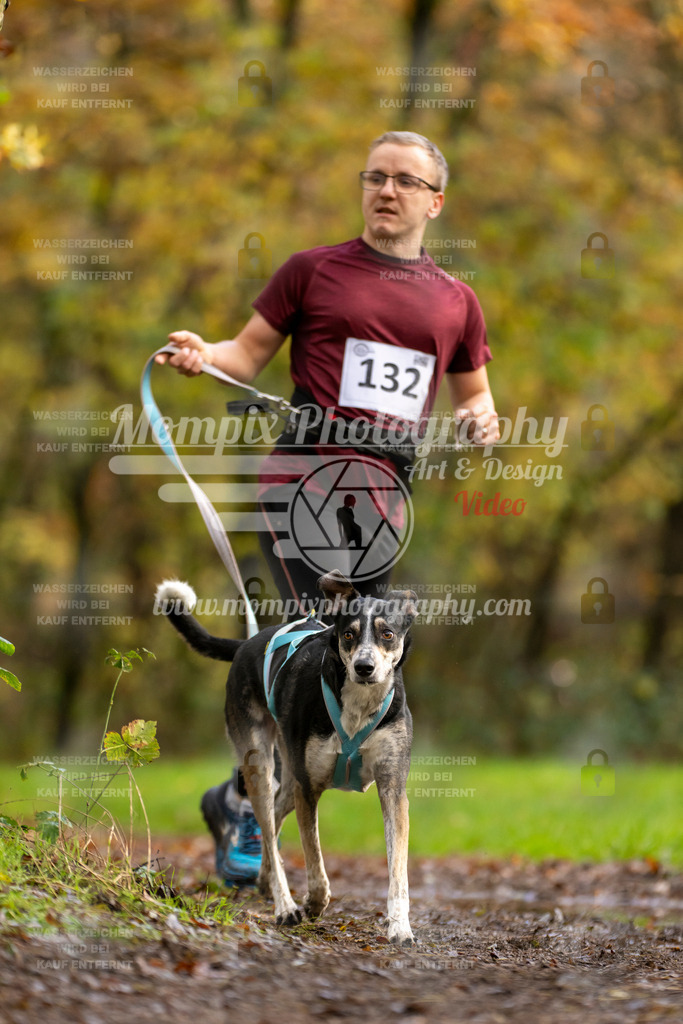 MompixPhotography_Bischwiller23_Canicross-131 | PayLife