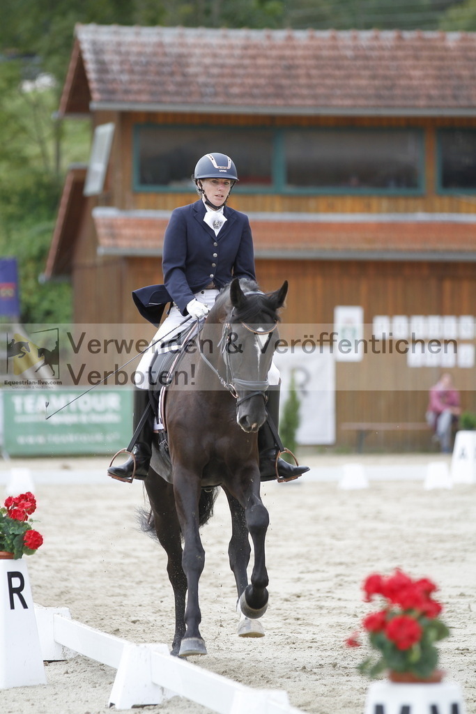 _MG_4373 | equestrian-live-com