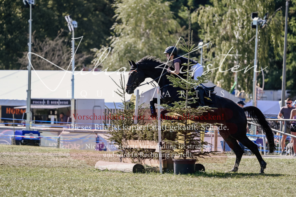 DSC_2915 | Pferde- und Turnierfotografie in Westsachsen. Pferdeportraits, Auftragszeichnungen und intuitive Kunst.