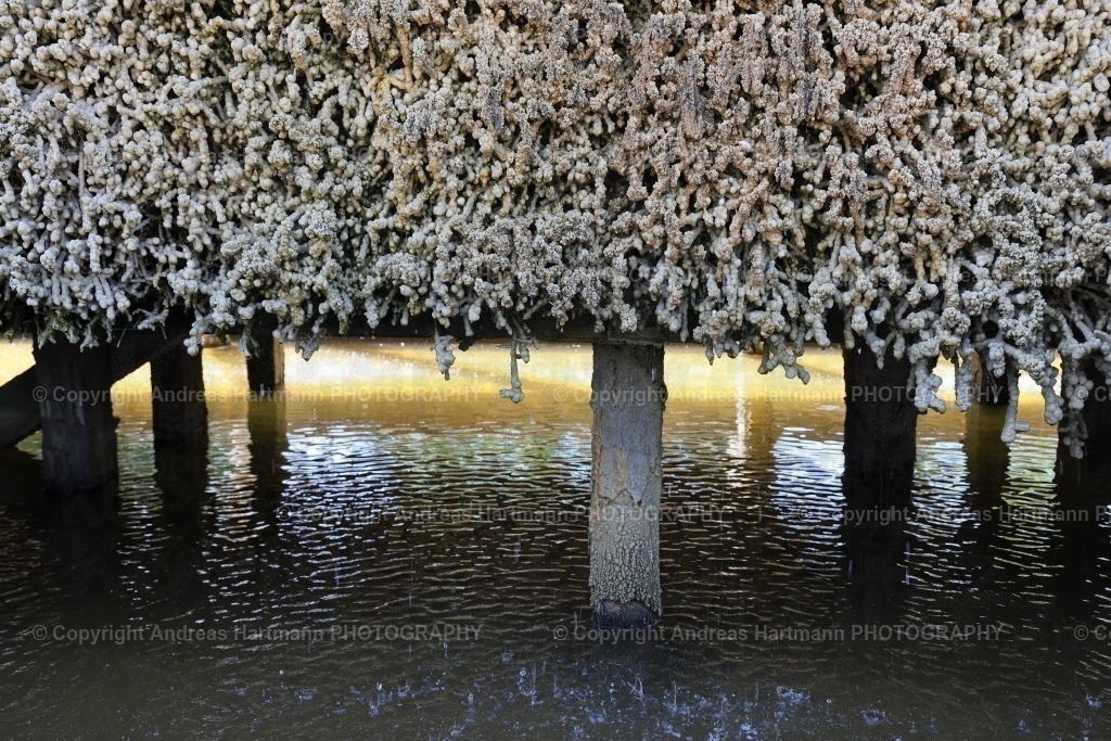 Gradierwerk Bad Kösen | Gradierwerk Bad Kösen - Realisiert mit Pictrs.com