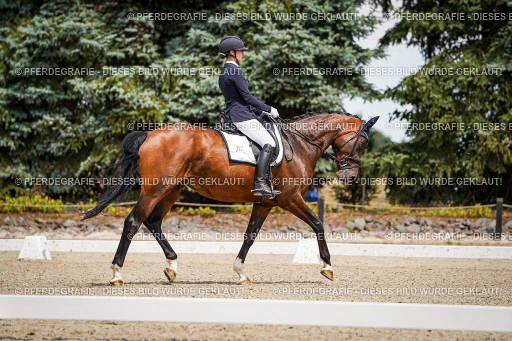 DSC02023 | Pferdegrafie