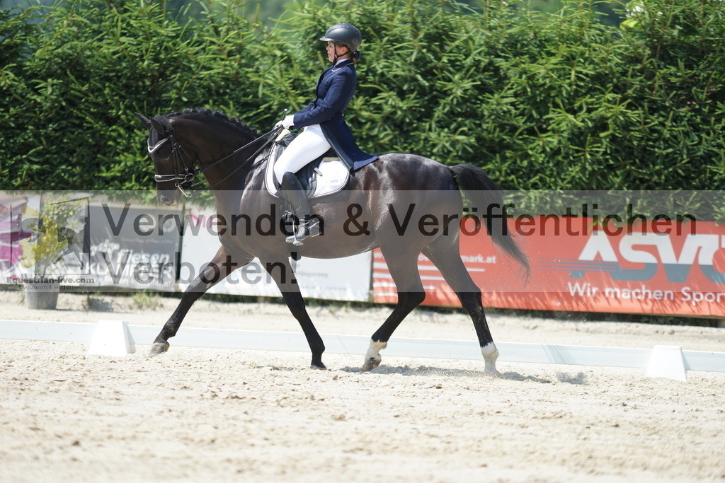 DSC05202 | equestrian-live-com