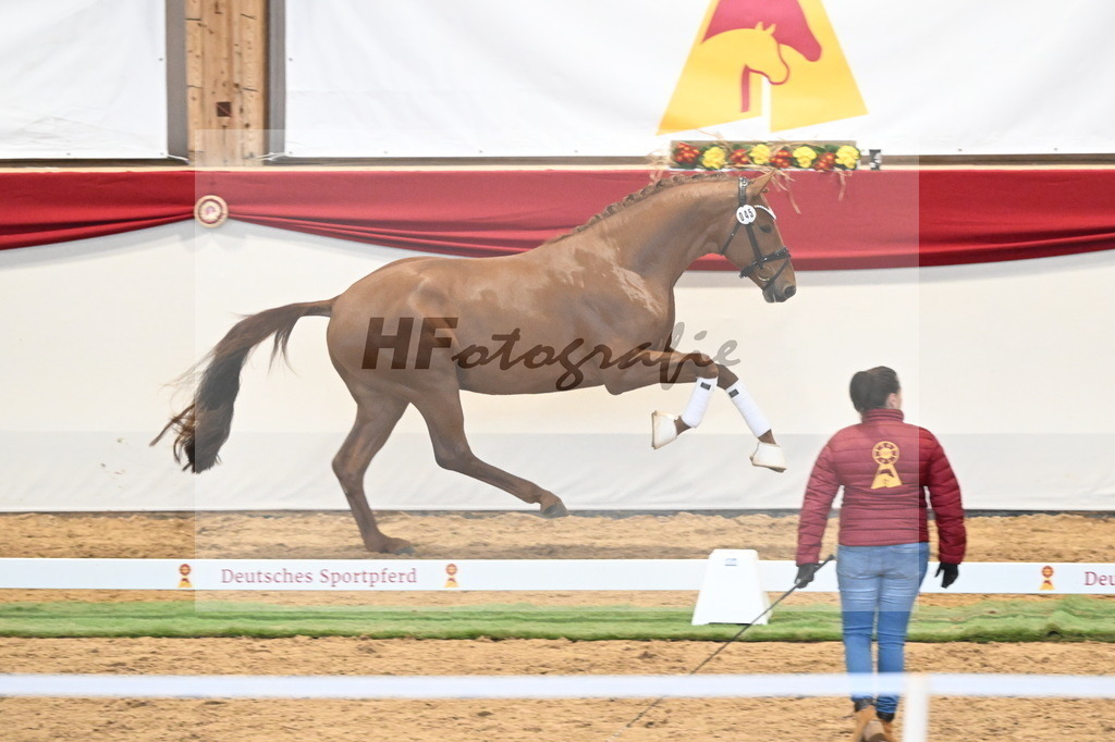Kat.-Nr. 45 v. Escanto PS_De Vittorio und Stechele_3260379 | hf-fotografie - Realisiert mit Pictrs.com
