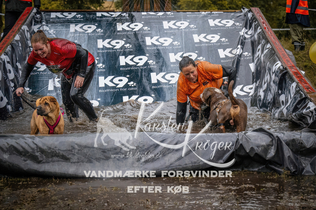 1237_ZZ90344 | kk-dogfotos