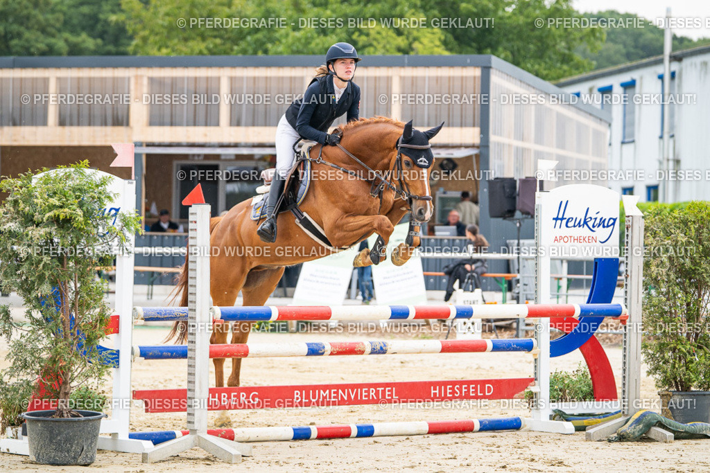 DSC09471 | Pferdegrafie