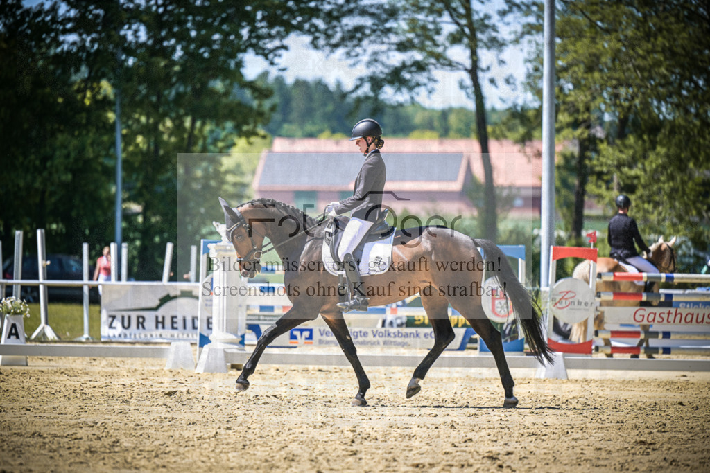 DOS_8900 | Entdecke hochwertige Reitturnierfotos von Foto Oger. Professionell, emotional und authentisch – jetzt Lieblingsmomente im Shop bestellen.Deutschlandweite Turnierfotografie. - Realisiert mit Pictrs.com