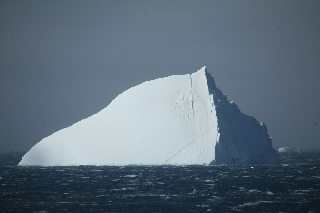 IMG_8515 | Antarktis / Antarctica - Realisiert mit Pictrs.com