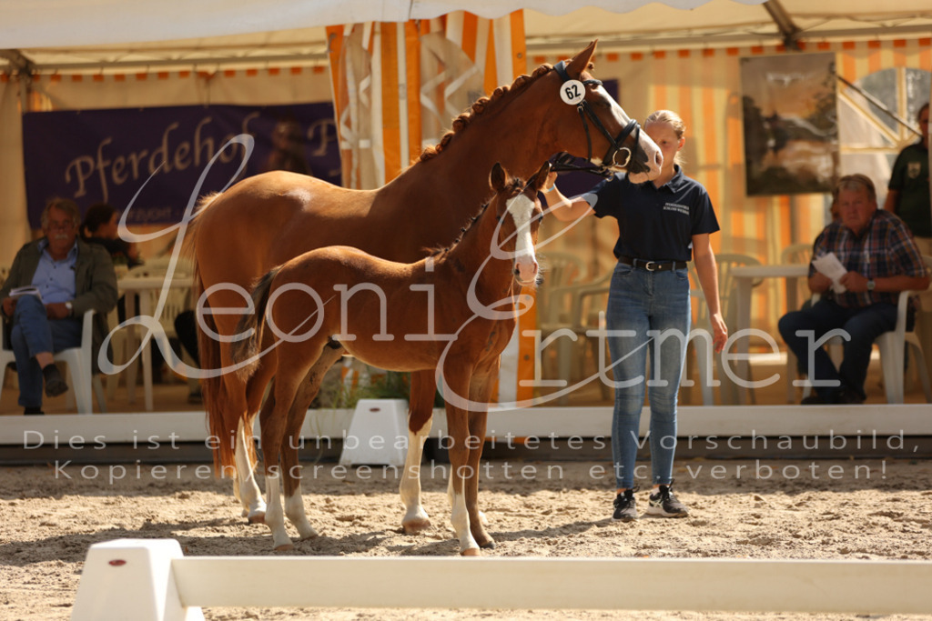 08.DoRPS00063 | Leoni Ertmer Photography - Realisiert mit Pictrs.com