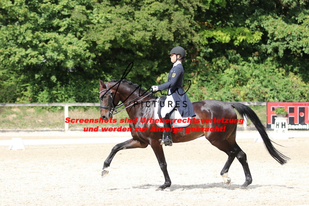 IMG_9553 | lmwpictures - Realisiert mit Pictrs.com