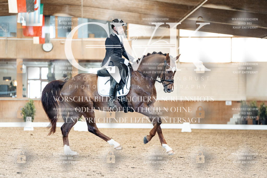CK909422 | Turnierfotografie Pferdefotografie Trier Rheinland-Pfalz Pferdesport Reitsport Tierfotografie Sportfotografie Pferdevideo Pferdevideografie Equestrianvideography equestrianphotography  - Realisiert mit Pictrs.com