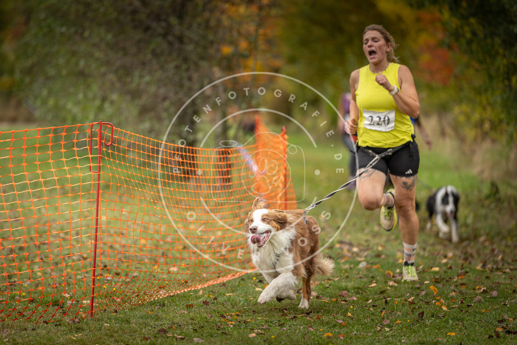 Pfotenfotografie_DV3A4508 | Hundefotografie, Tierfotograf, Pfotenfotografie, Fotoshooting Hund, Hunde Portrait, Hundesport, Hundeportraits, Heideshooting, Hunde, Sportfotograf, Hundefotograf, Turnierhundsport, THS,  - Realisiert mit Pictrs.com
