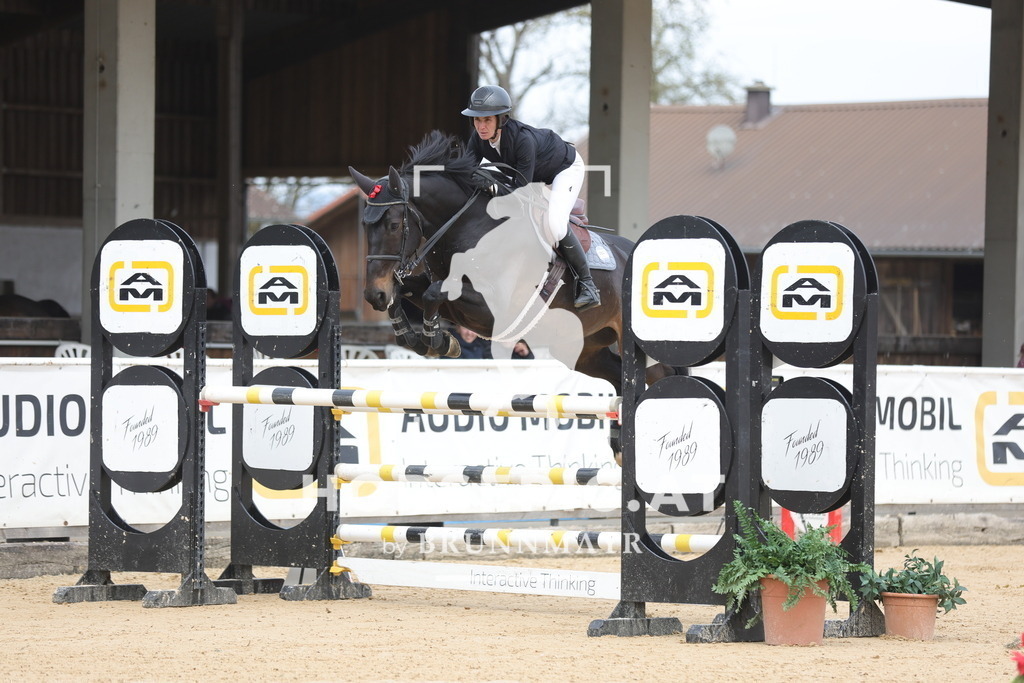 0P6A5319 | Willkommen bei Brunnmayr - Design & Fotografie – Ihrem Spezialisten für Reitturniere und Pferdeveranstaltungen in Oberösterreich, Salzburg und Bayern! Seit über 17 Jahren sind wir leidenschaftlich dabei.