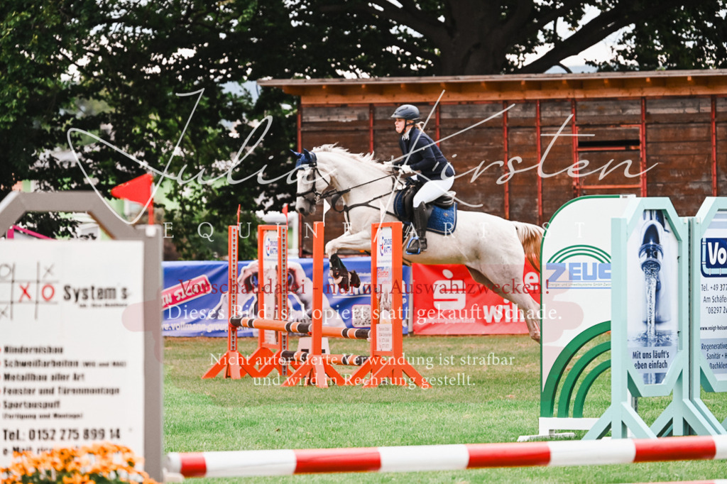 DSC_6020 | Pferde- und Turnierfotografie in Westsachsen. Pferdeportraits, Auftragszeichnungen und intuitive Kunst.