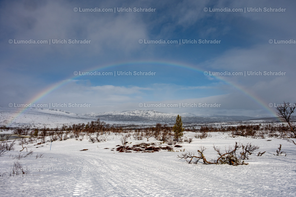 10047-10101 - Winterimpressionen in Norwegen | Stockfoto und Bilderpool mit Bildmaterial aus Deutschland, dem Harz, Halberstadt, Quedlinburg, Wernigerode und weltweit. Qualitativ hochwertige und professionelle Fotos anschauen und kaufen. - Realisiert mit Pictrs.com