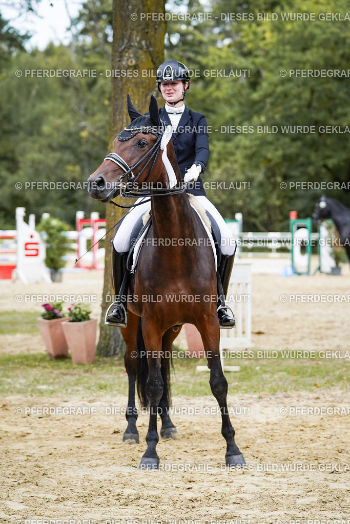 DSC02566 | Pferdegrafie