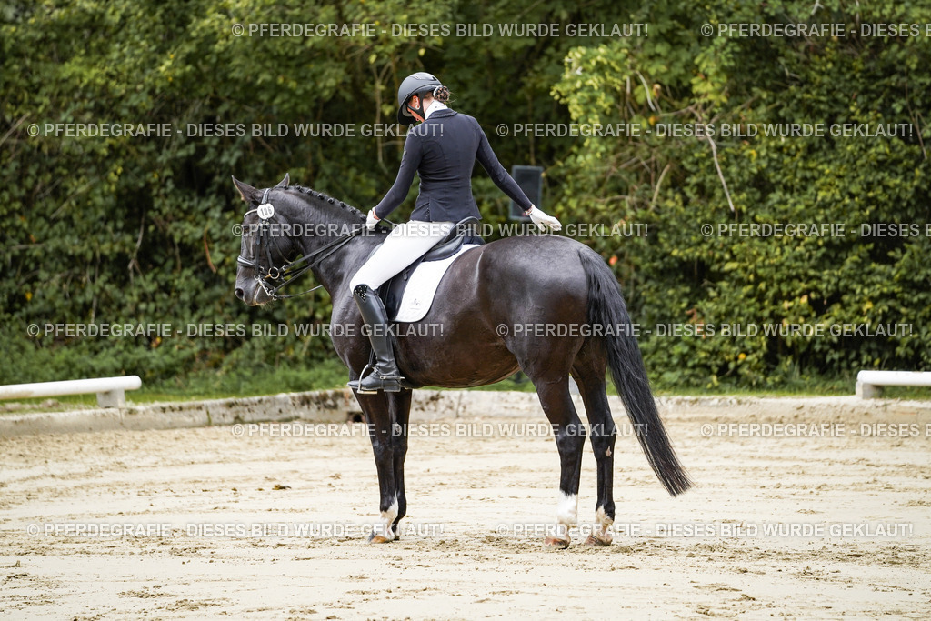 DSC08391 | Pferdegrafie