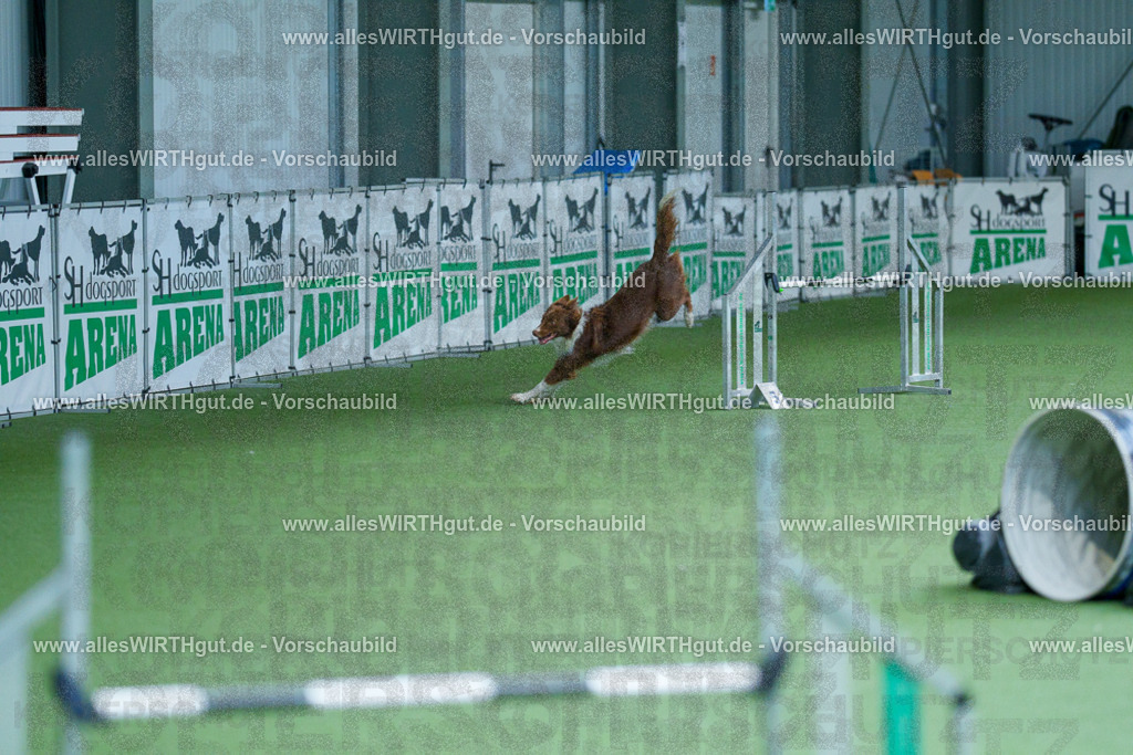 @allesWIRTHgut_Tierfotografie - www.allesWIRTHgut.de - 2604261402-7R503258 | Professionelle Tierfotografie in Mönchengladbach von Daniel Wirth (allesWIRTHgut). Liebevolle & natürliche Bilder von Hunden & Katzen für unvergessliche Erinnerungen.