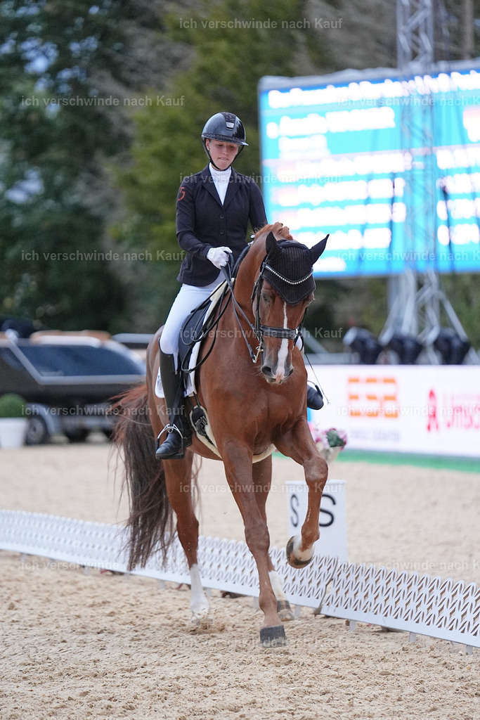 04_2-064-Dressur M__ -Marixx-3089 | working equitationturnier fotograf videograf stoibphotography marixx film working equitation deutschland reitsport turnierfotografie eventfotografie equestrian events