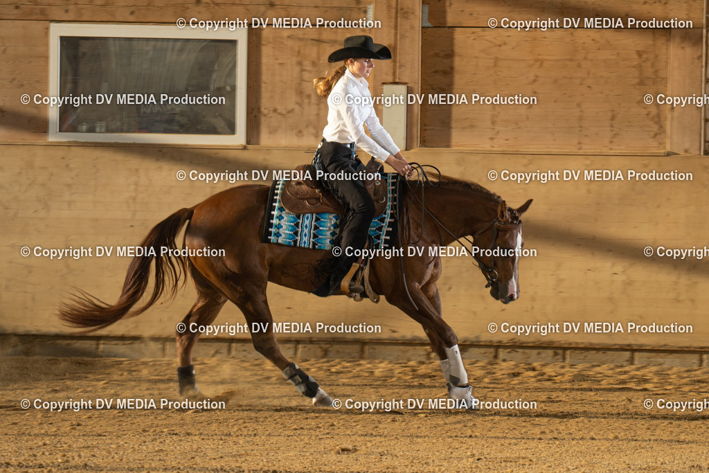 LAU01994 | dv-media-shop - Realisiert mit Pictrs.com