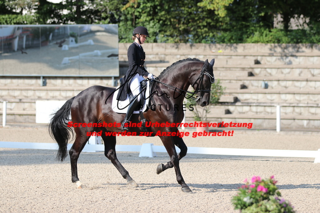 IMG_8784 | lmwpictures - Realisiert mit Pictrs.com