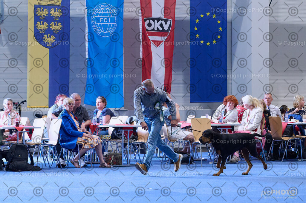 202406_ÖKV-IHA-Tulln24_DSC_4003 | proPHOTO - Realisiert mit Pictrs.com