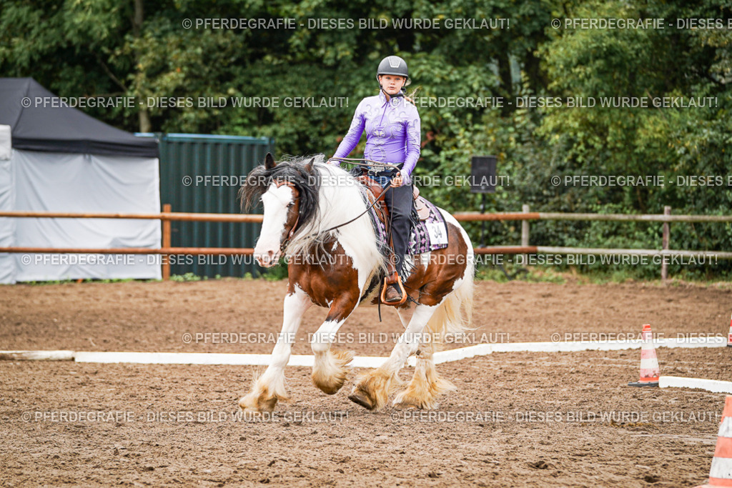 DSC03457 | Pferdegrafie