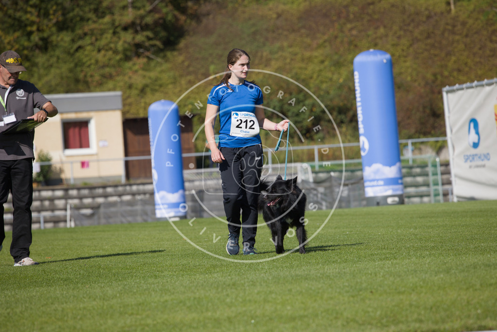 0L8A2432 | Hundefotografie, Tierfotograf, Pfotenfotografie, Fotoshooting Hund, Hunde Portrait, Hundesport, Hundeportraits, Heideshooting, Hunde, Sportfotograf, Hundefotograf, Turnierhundsport, THS,  - Realisiert mit Pictrs.com