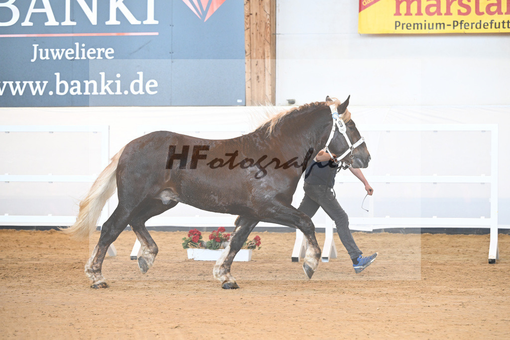 Kat-Nr. 9 v. Nero_Waltenberger_2230094 | hf-fotografie - Realisiert mit Pictrs.com