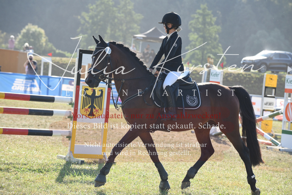 DSC_5570 | Pferde- und Turnierfotografie in Westsachsen. Pferdeportraits, Auftragszeichnungen und intuitive Kunst.