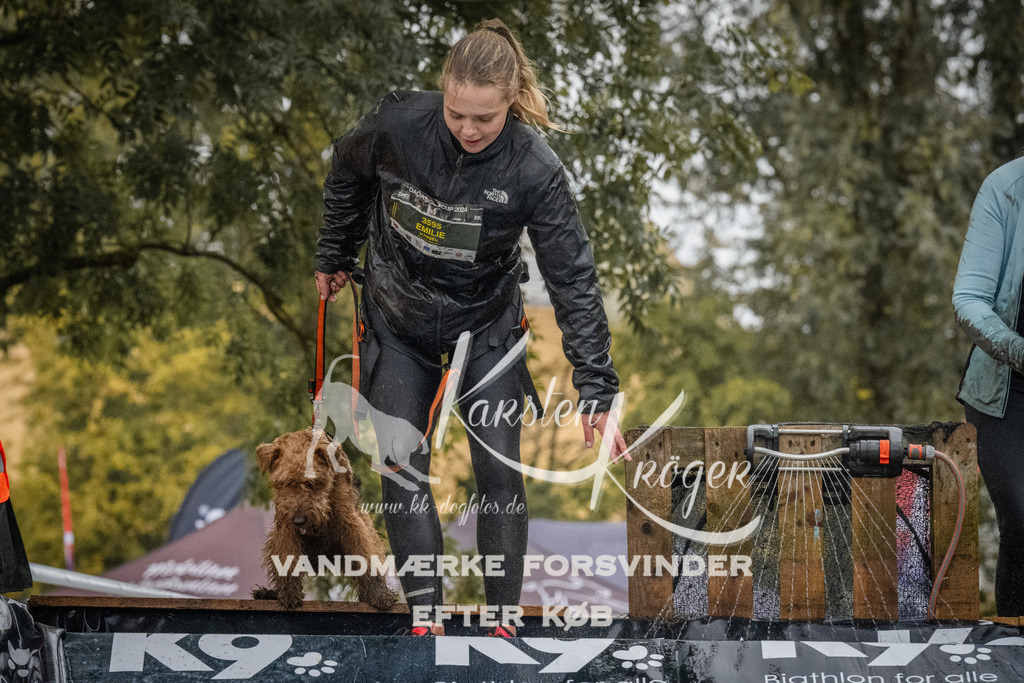 1154_ZZ93809 | kk-dogfotos