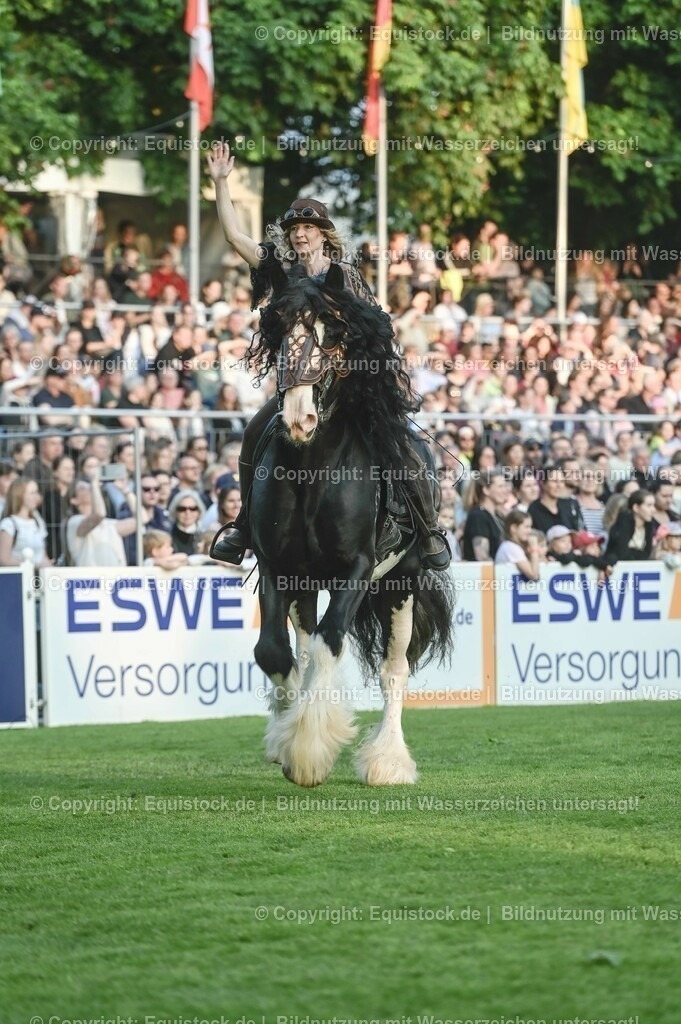 20230526_Pferdenacht_0260 | equistock