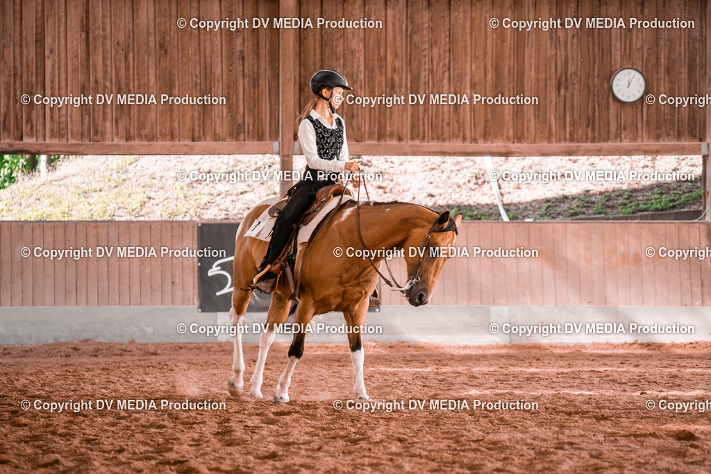 NE200234 | dv-media-shop - Realisiert mit Pictrs.com