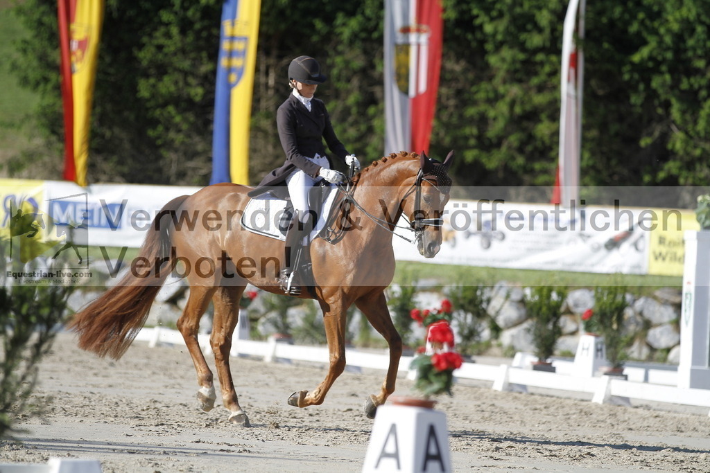 _MG_3271 | equestrian-live-com