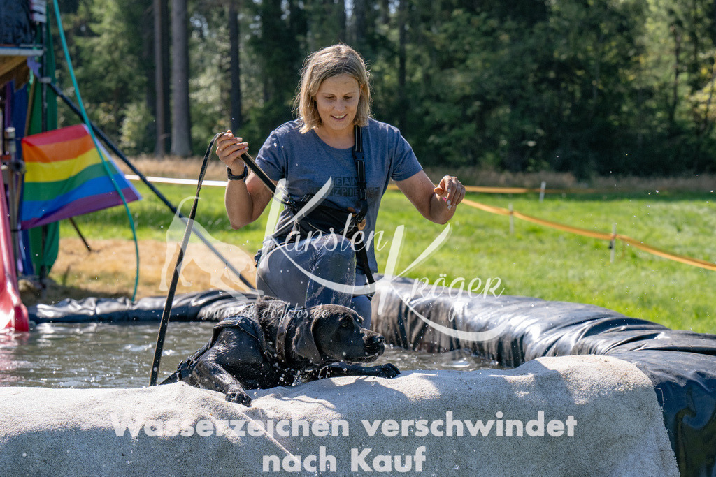 1251_ZZ93806 | kk-dogfotos
