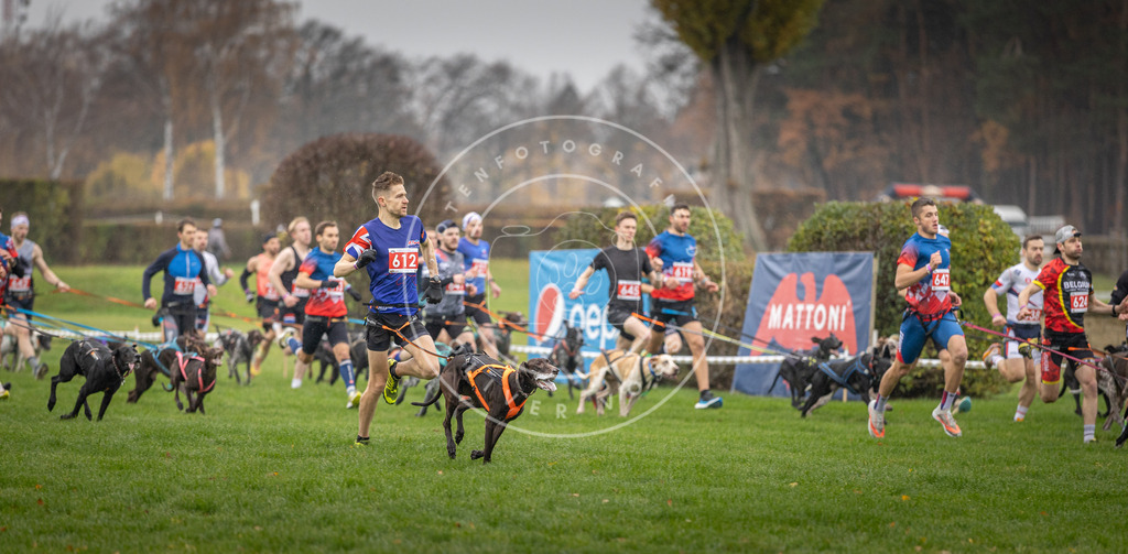 CaniXpix_DV3A9450 | Hundefotografie, Tierfotograf, Pfotenfotografie, Fotoshooting Hund, Hunde Portrait, Hundesport, Hundeportraits, Heideshooting, Hunde, Sportfotograf, Hundefotograf, Turnierhundsport, THS,  - Realisiert mit Pictrs.com