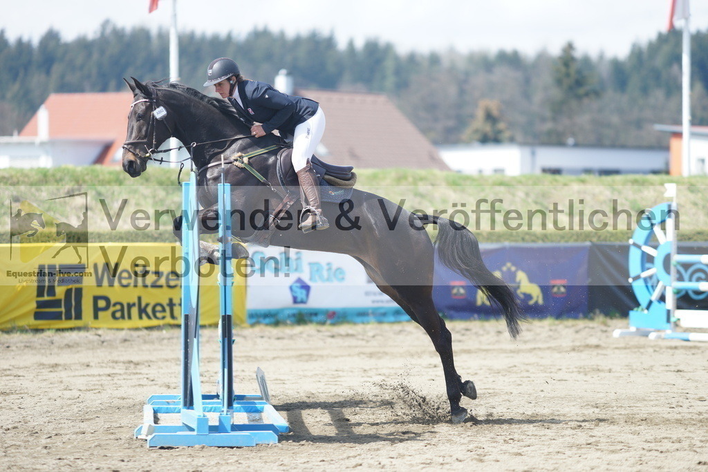 DSC02520 | equestrian-live-com