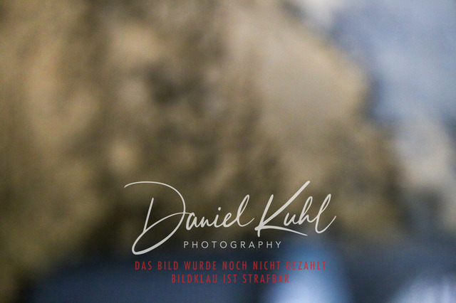 IMG_1144 | Turniersportfotografie; Pferdefotografie; Dressurfotografie