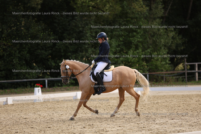 HG9A1473 | laurarinckfotografie - Realisiert mit Pictrs.com