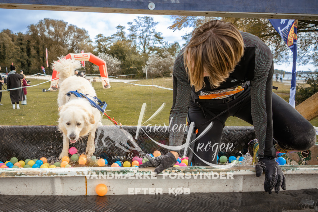 1345_ZZ92128-2 | kk-dogfotos