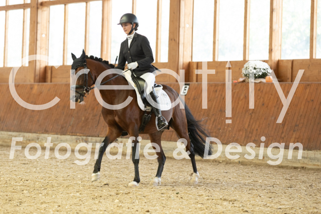 IMG_5993 | Creatify Fotografie