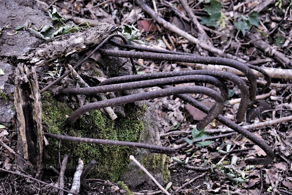 DSC_0030 (2) | Sportfotografie , Motorsport, Motoross, Reitsport, Mointainbike, Enduro,
Landschaft , Outdoor, Eventfotografie, Landschaft, Bilder online bestellen - Realisiert mit Pictrs.com