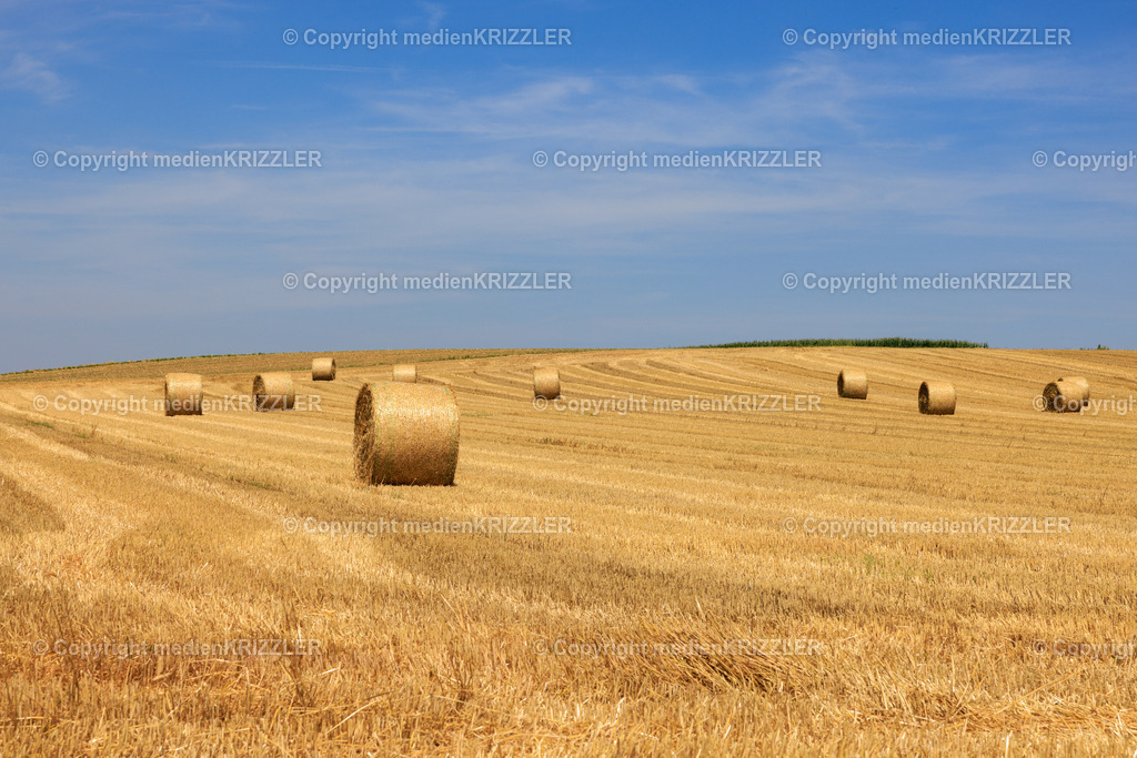 _J3A8129 | medienkrizzler - Realisiert mit Pictrs.com