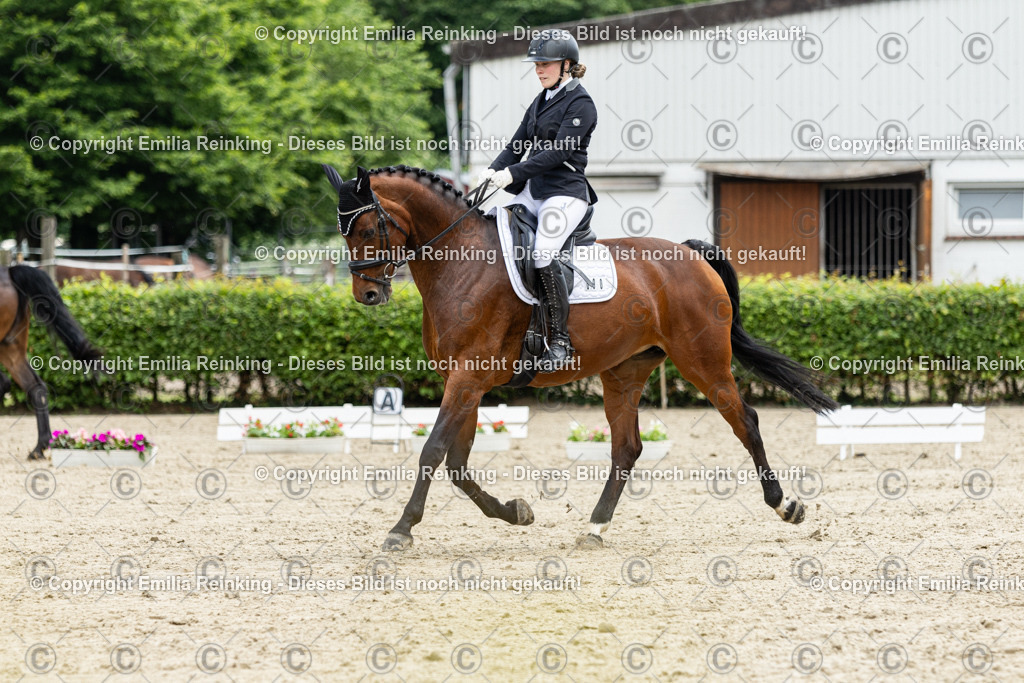 CL5A0660 | Emilia Reinking Fotografie - Realisiert mit Pictrs.com