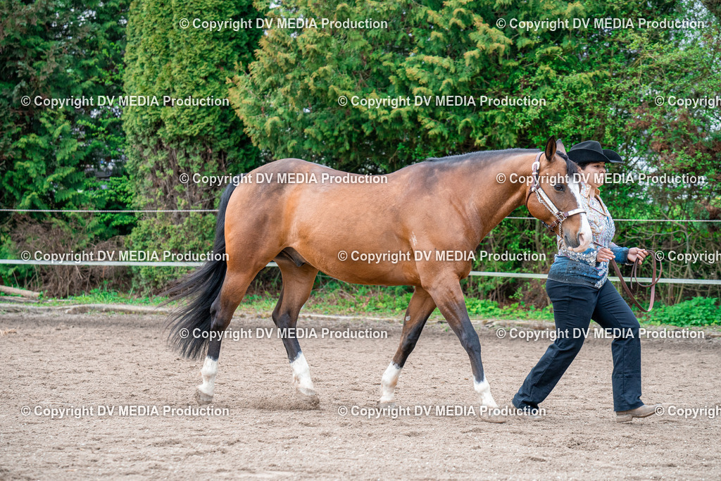 BA300235 | dv-media-shop - Realisiert mit Pictrs.com